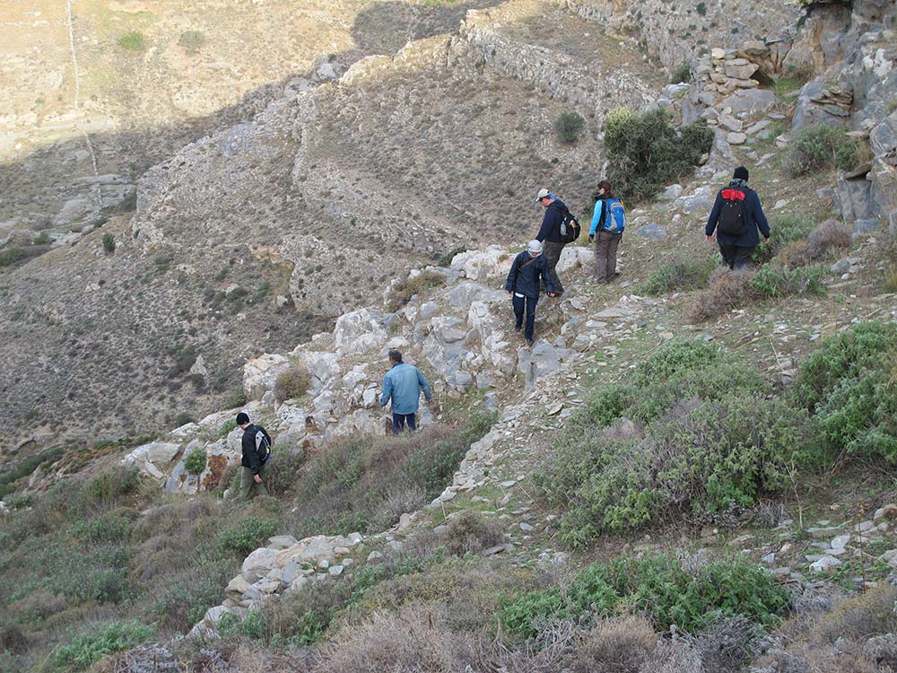 Team members walking down the steep slope to do a transect survey
