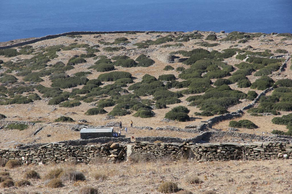 A view of Zagora showing modern field walls. 