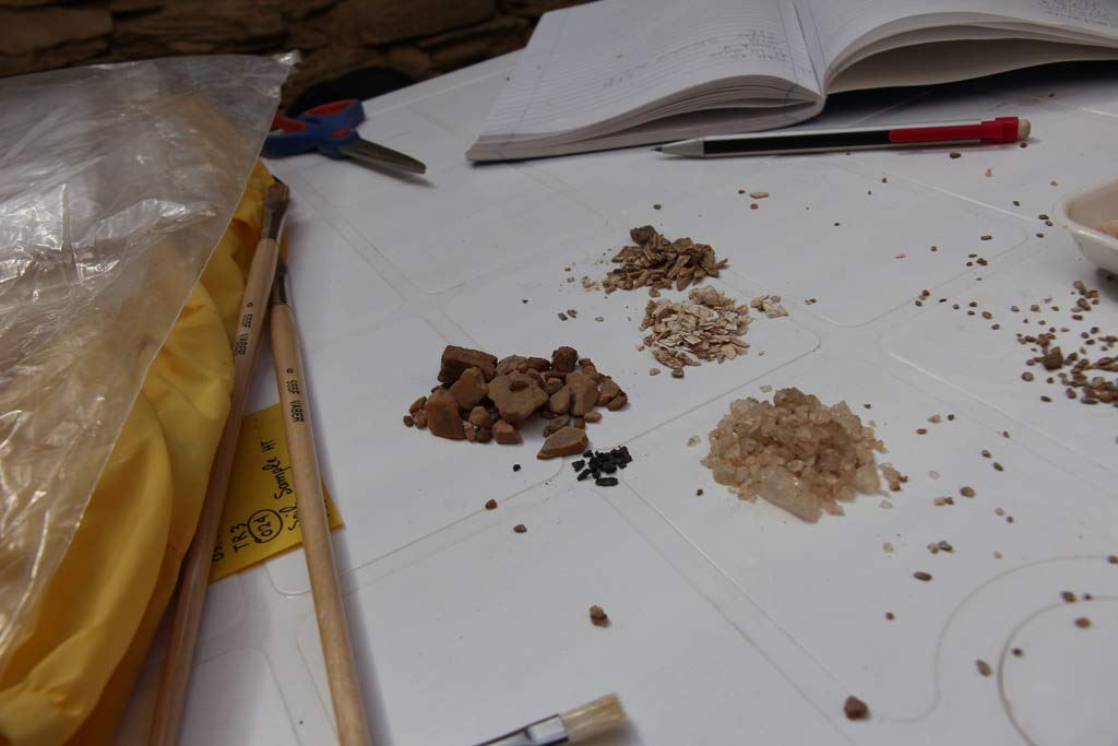 Some of the piles of sorted material, clockwise from left: pottery sherds, seeds, fish bones, rock crystal and charcoal.