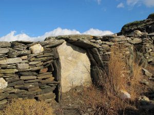 Standing schist slab, boxed in