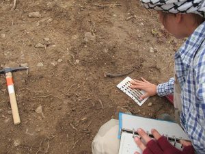 Kristen uses a Munsell colour chart to check soil colour