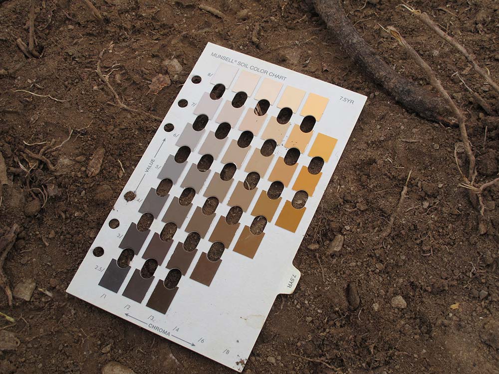 A page from the Munsell colour chart book on soil in test trench 1