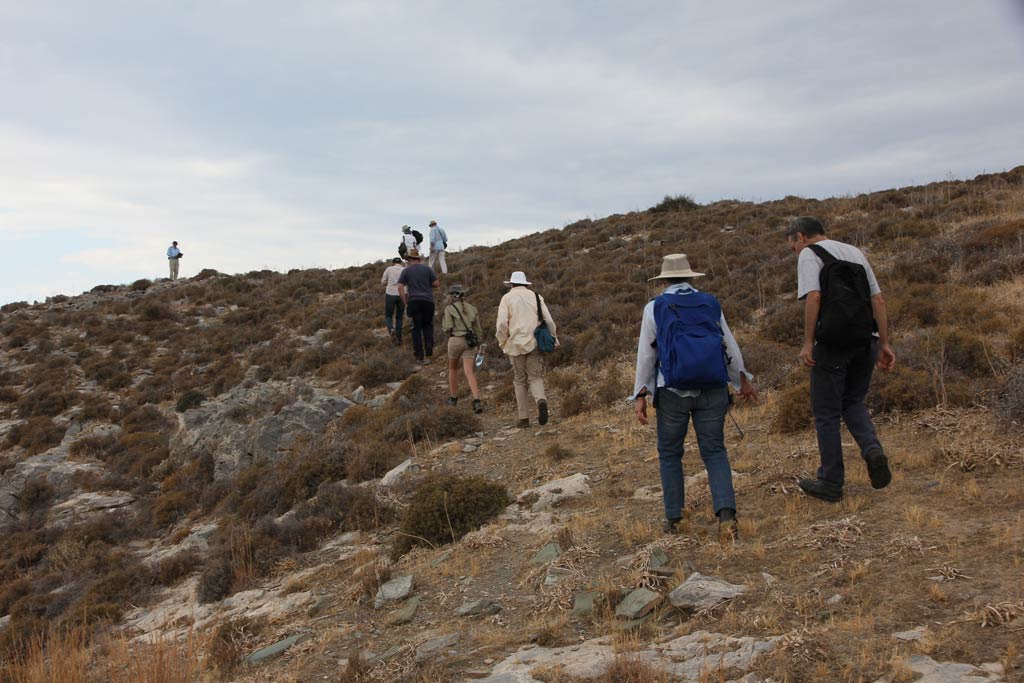 Project directors, site supervisors and site architect/surveyors heading across the site for the first time during the 2013 Zagora excavation season