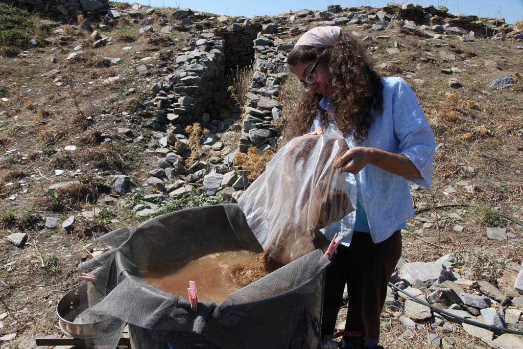 Roza pouring a bag of soil from one of the excavation areas into the first phase of wet sieving