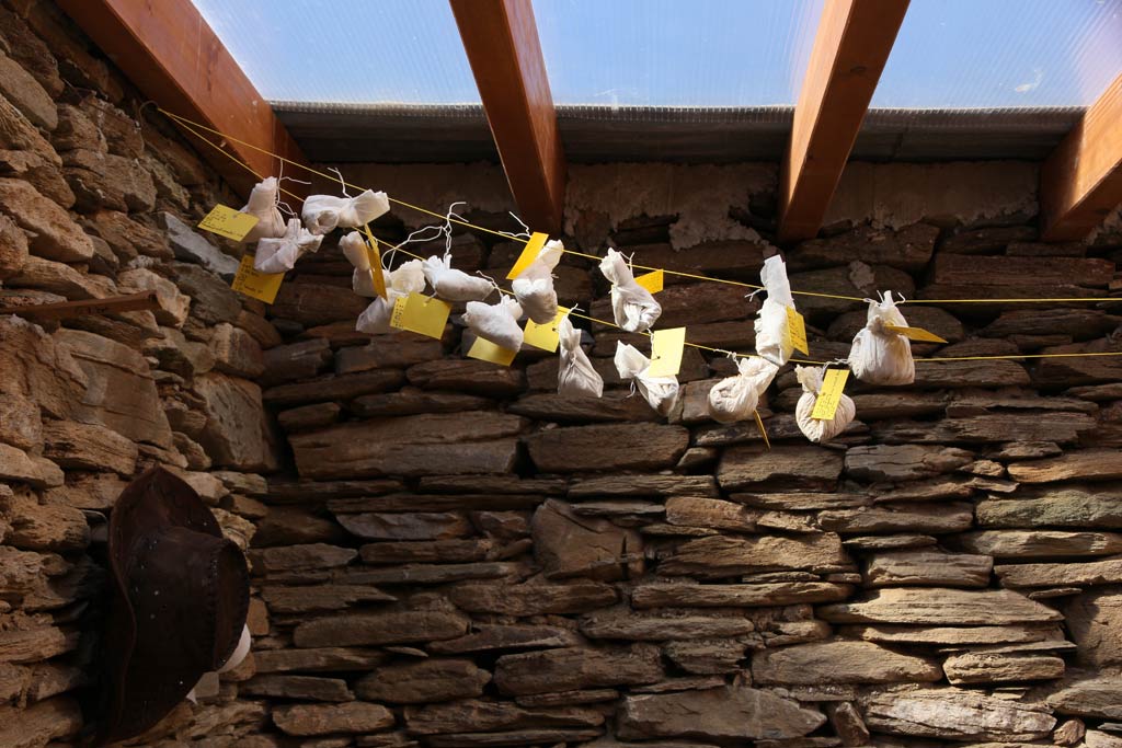 'Flotation' samples, wrapped in paper towel and hung up to dry