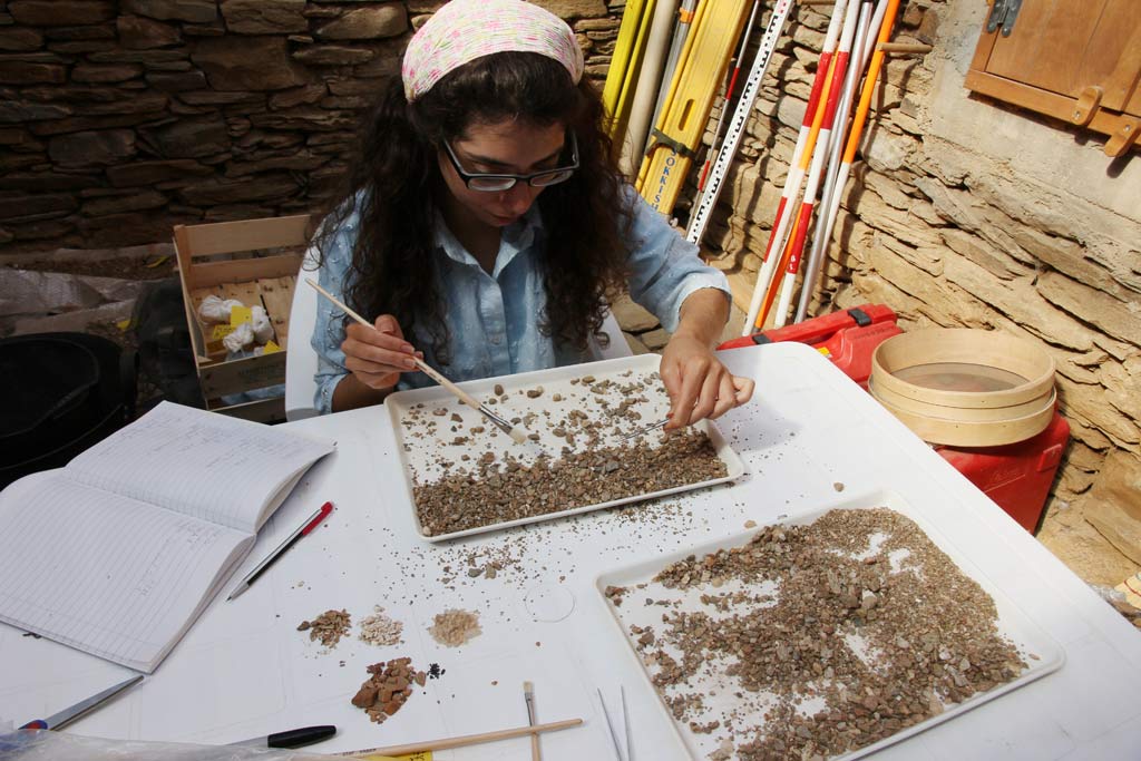 Roza sorting through one of the trays of debris using a paintbrush and tweezers. 