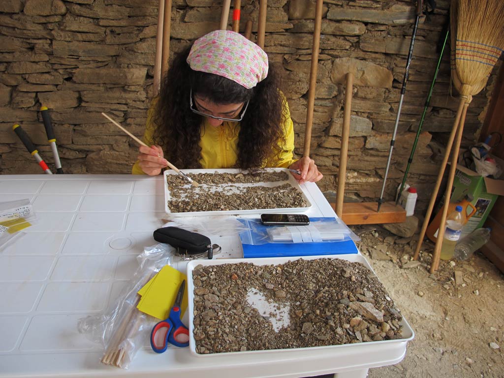Roza sorting the soil debris in the Zagora dig hut with her paintbrush and tweezers. 