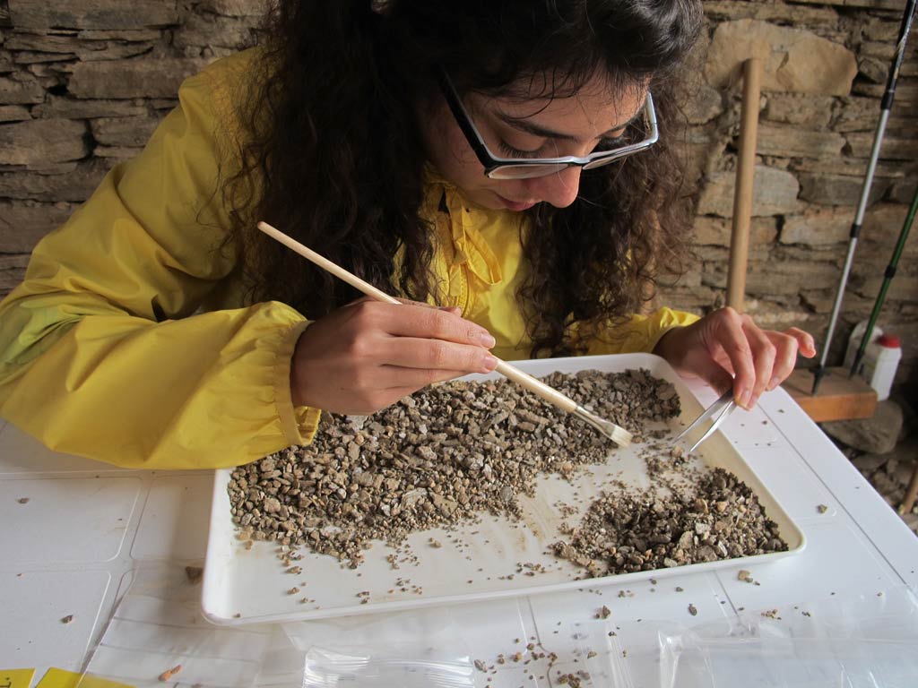 Roza sorting through a tray of debris from one of the excavation areas using a paintbrush and tweezers. 