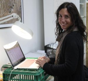 Melanie Fillios entering the bone finds into the database on her laptop in the Andros Archaeological Museum
